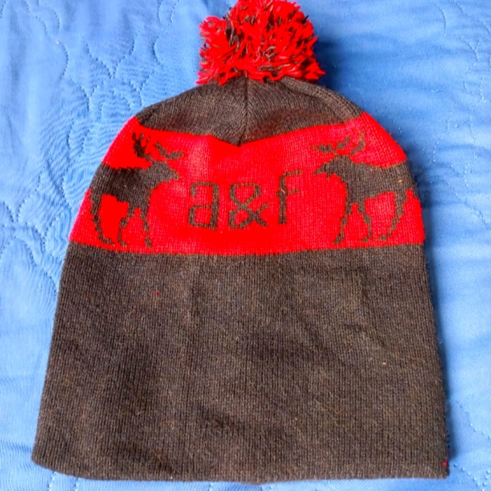 Abercrombie & Fitch logo pom beanie